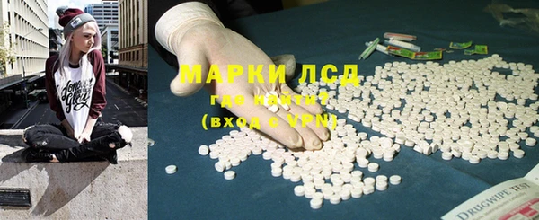 ГАЛЛЮЦИНОГЕННЫЕ ГРИБЫ Белокуриха