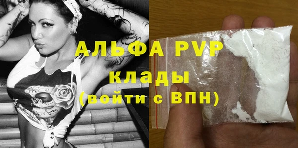 ГАЛЛЮЦИНОГЕННЫЕ ГРИБЫ Белокуриха