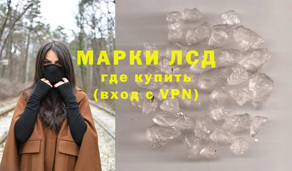 ГАЛЛЮЦИНОГЕННЫЕ ГРИБЫ Белокуриха