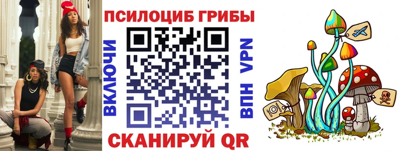Псилоцибиновые грибы Cubensis Кстово